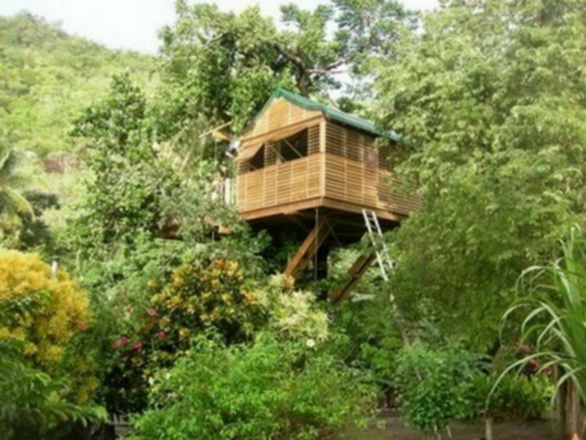 Domaine De Robinson Hotell Les Anses-d'Arlets Exteriör bild